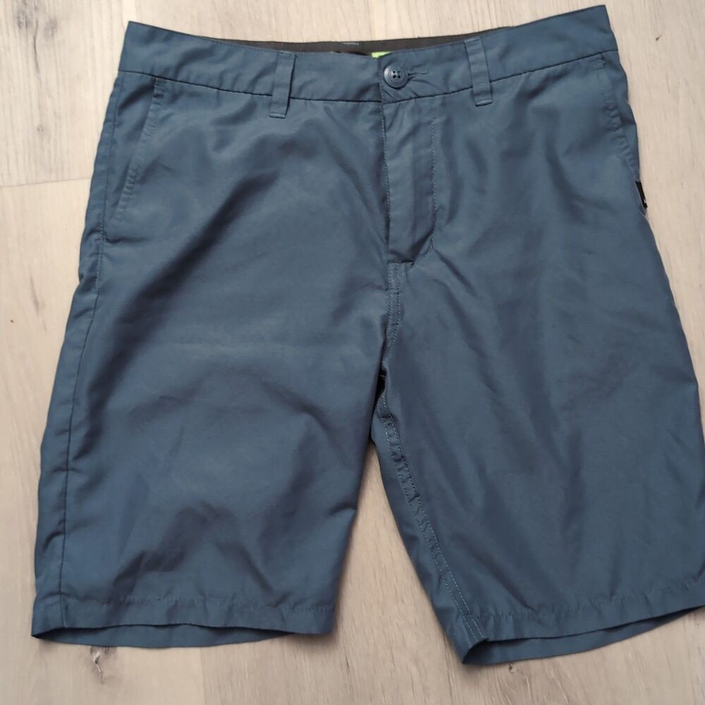 Quicksilver Amphibian Shorts Mens 29 Shorts Casual